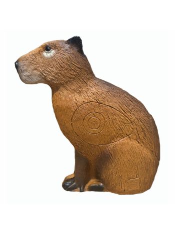 3Di 3D Target Capybara Tokk
