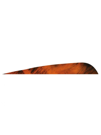 Gateway Feathers 5