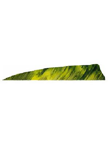 Gateway Feathers 3